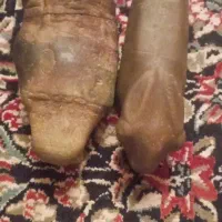 مجسمه زیرخاکی سر انسان وخرگوش