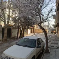 پژو آردی ۱۶۰۰ مدل ۱۳۸۳