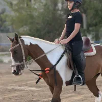 باشگاه اسب و سوارکاری خورشید