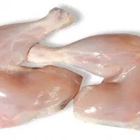 پخش مرغ و فرآورده های پروتئینی|عمده‌فروشی|اهر, |دیوار