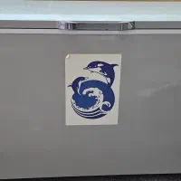 فریزر صندوقی