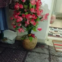گل مصنوعی|گل مصنوعی|شیراز, جوادیه|دیوار
