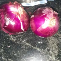 بذر  قرمز5کیلو موجود|گل و گیاه طبیعی|جیرفت, |دیوار
