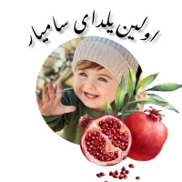 تیشرت یلدا|لباس|گرگان, |دیوار