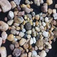 سنگ|جواهرات|تربت جام, کشتارگاه|دیوار