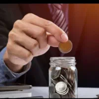 کار در منزل با گوشس