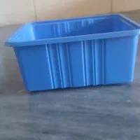 ظرف بسته بندی قارچ