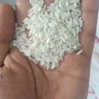 برنج دانه کوتاه پاکستانی|خوردنی و آشامیدنی|تهران, جوادیه|دیوار