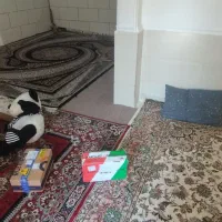 منزل اجاره همکف|اجارهٔ خانه و ویلا|شیراز, شهدای شهرک سعدی|دیوار