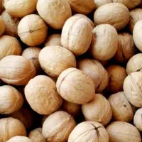 گردو پوست کاغذی ۶۴۵/۰۰۰      باضمانت ( بدون پوچی )|خوردنی و آشامیدنی|قم, ولیعصر|دیوار