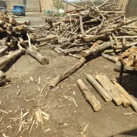 خریدوفروش‌چوب‌وتخته