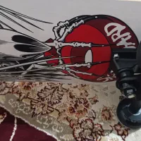 اسکیت برد