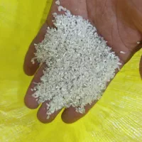 سر لاشه فجر سوزنی