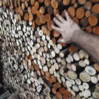 هیزم شومینه ای سایز شده و مرتب منظم و سالم|کوهنوردی و کمپینگ|شلمان, |دیوار