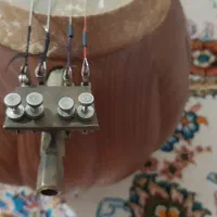 کمانچه|سازهای سنتی|دره شهر, |دیوار