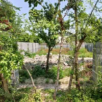 زمین دوردیوار مسکونی ۲۰۰متری گیلان رشت سنگر|فروش زمین و ملک کلنگی|سنگر, |دیوار