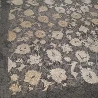 قالی در حد نو|فرش|شیروان (خراسان), |دیوار