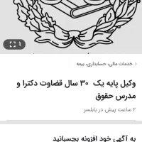 وکیل پایه یک ۳۰ سال سابقه قضاوت دکترا و مدرس حقوق