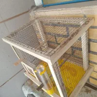 قفس پرنده|لوازم جانبی حیوانات|سمیرم, |دیوار