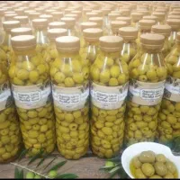 زیتون بدون هسته با کیفیت