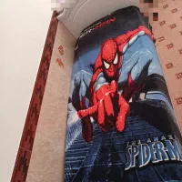 دوعددتخت جوان|تشک تختخواب|بیرجند, |دیوار