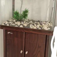 آکواریم با قیمت توافقی