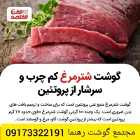 گوشت تازه شترمرغ