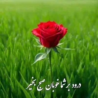 خط رند دایمی ایرانسل 540  40. 40  0935