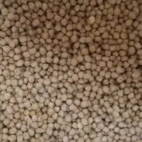 نخودپاییزه گوسکو|خوردنی و آشامیدنی|کلاشی, |دیوار