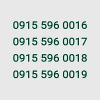 09155960016