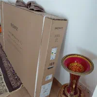 کارتون تلویزیون