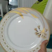 سرویس چینی|ظروف سرو و پذیرایی|شاهینشهر, شهرک گلدیس|دیوار