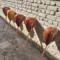 فروش ساز باغلاما