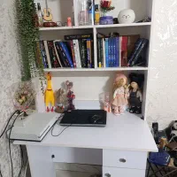 کتابخانه|کتابخانه، شلف، قفسههای دیواری|ری, منصوریه منگل|دیوار