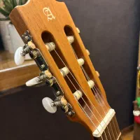 گیتار الحمبرا،الحمرا alhambra|گیتار، بیس، امپلیفایر|ماهدشت, |دیوار