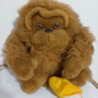 میمون خارجی