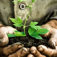 به یه پرستار خوش اخلاق خوش برخورد با حوصله فوری