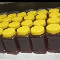 عسل طبیعی دامنه سبلان|عمدهفروشی|مشگین شهر, |دیوار