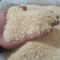 برنج نیم دانه ولاشه صدری(عطری ومعطر)