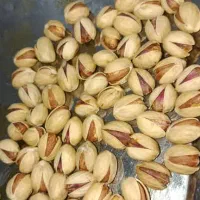 خریدار انواع ارقام پسته|خدمات باغبانی و درختکاری|سروستان, |دیوار