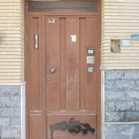 درب دولنگه ورودی