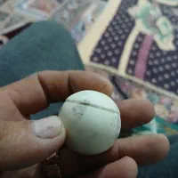 سنگ الماس سنگ اسیاب|کلکسیون اشیاء عتیقه|شیراز, شهرک ترکان|دیوار