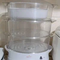 سرخ کن و بخار پز