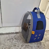 کوله حمل پرنده