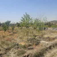 باغ مجوز فنس|فروش زمین و ملک کلنگی|اصفهان, ارداجی|دیوار