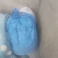 گندم بذری ۲۰۰کیلو فروش