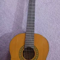 گیتار chard|گیتار، بیس، امپلیفایر|یاسوج, |دیوار