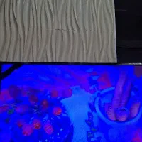 افتتاح گیم نت