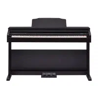 Roland RP30
