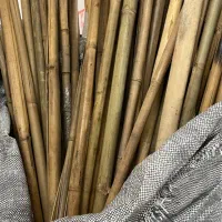 چوب بامبو حصیری